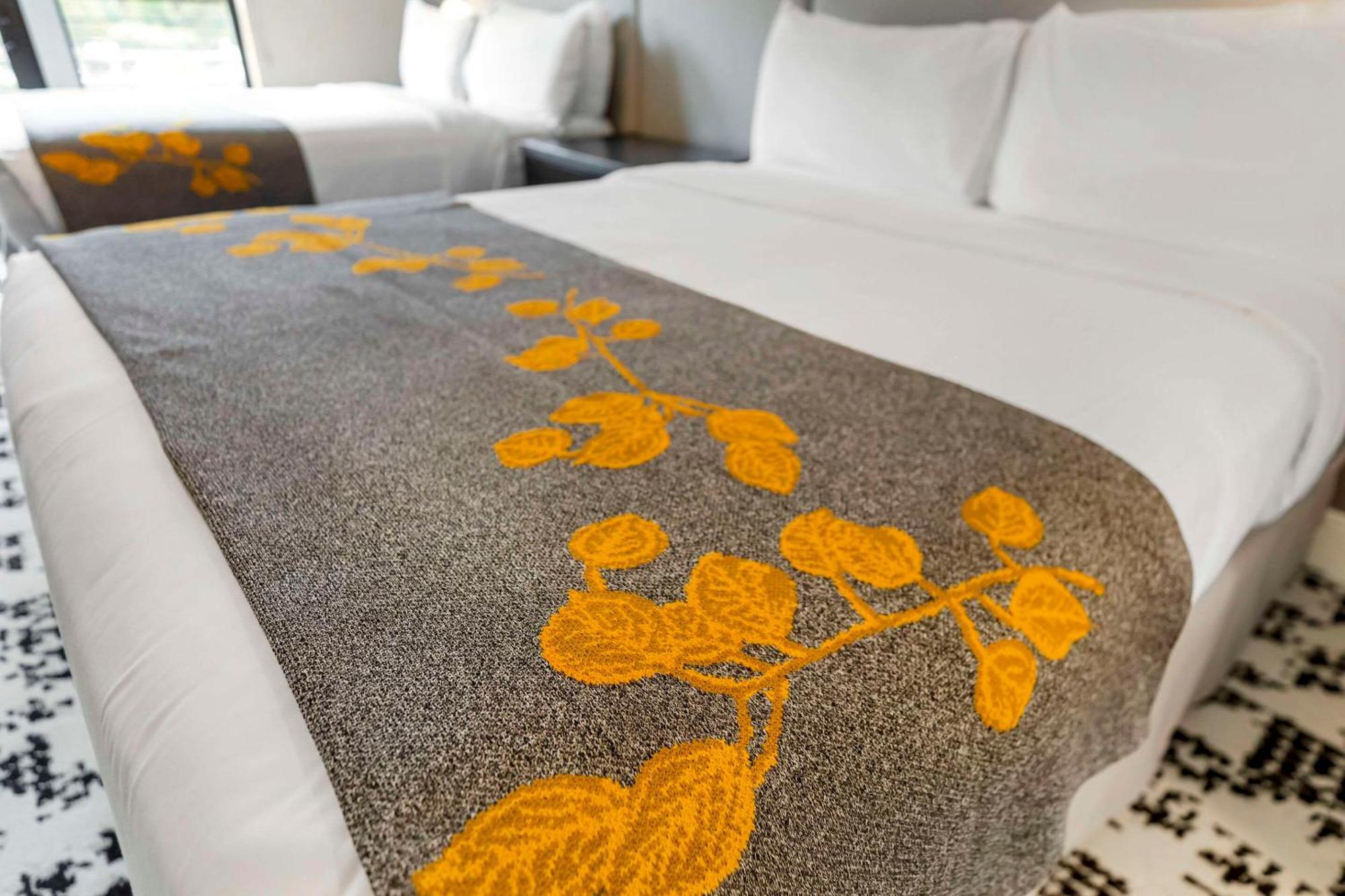 Cambria Hotel Copper Mountain フリスコ エクステリア 写真